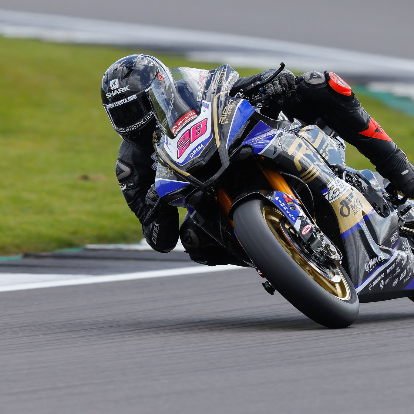 Bradley Ray, Yamaha British Superbike